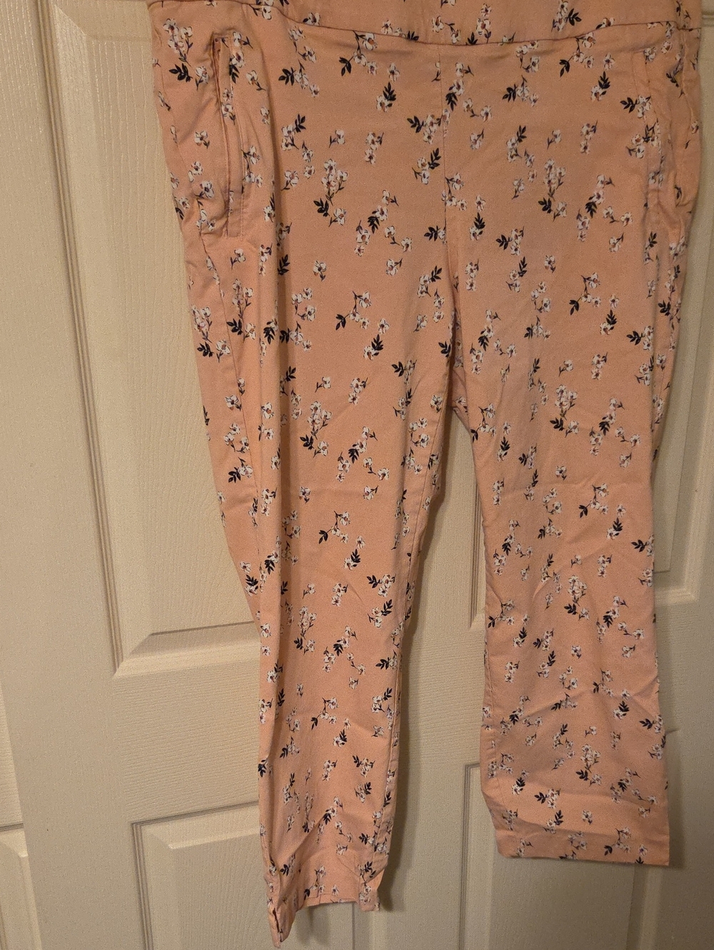 Lane Bryant Ankle Pants